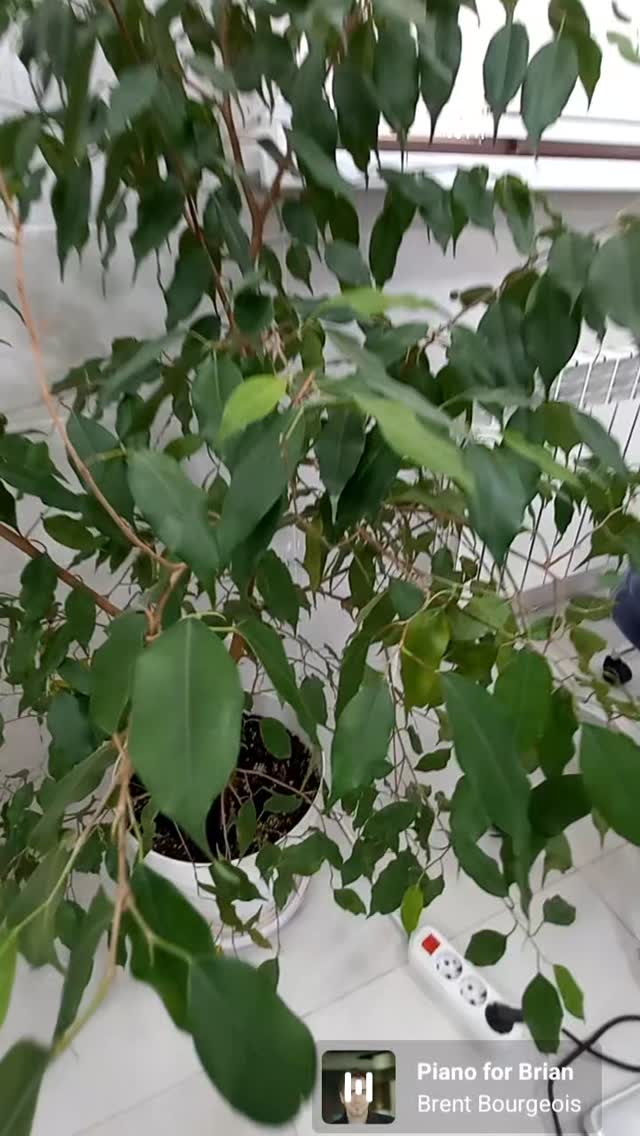 Интерьер клиники